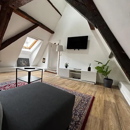 Stylish Canal-side 2br-1lr Apt, At Center Of Daire Gent